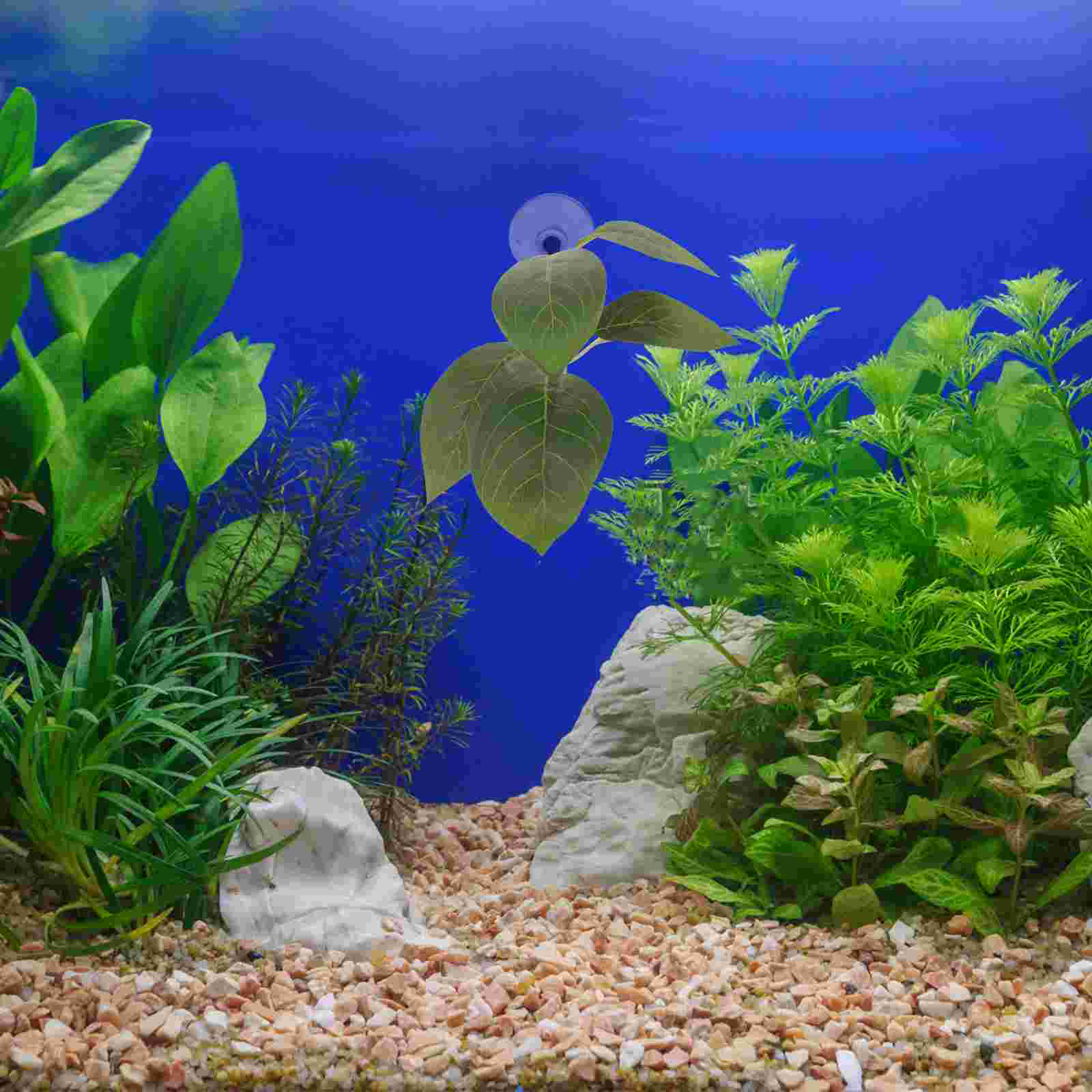 Betta Resting Leaves Aquarium Breeding Leaf Hammock Fish Bowl Aquatic Plants Bed Tank Spawning Decor Plastic