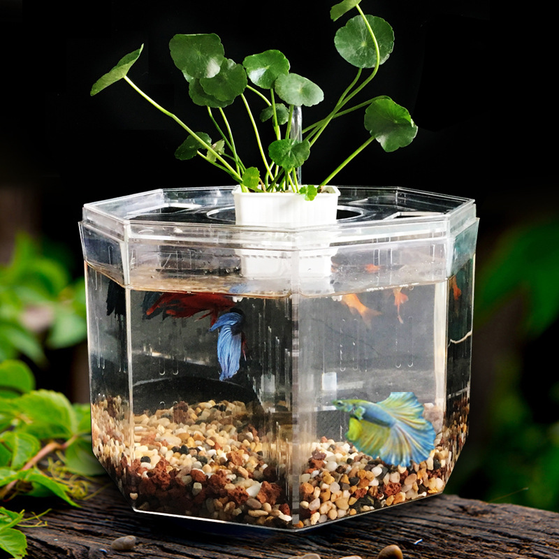 Mini multifunctional LED aquariums & accessories small ecological fish pond Aquariums equipments living room office