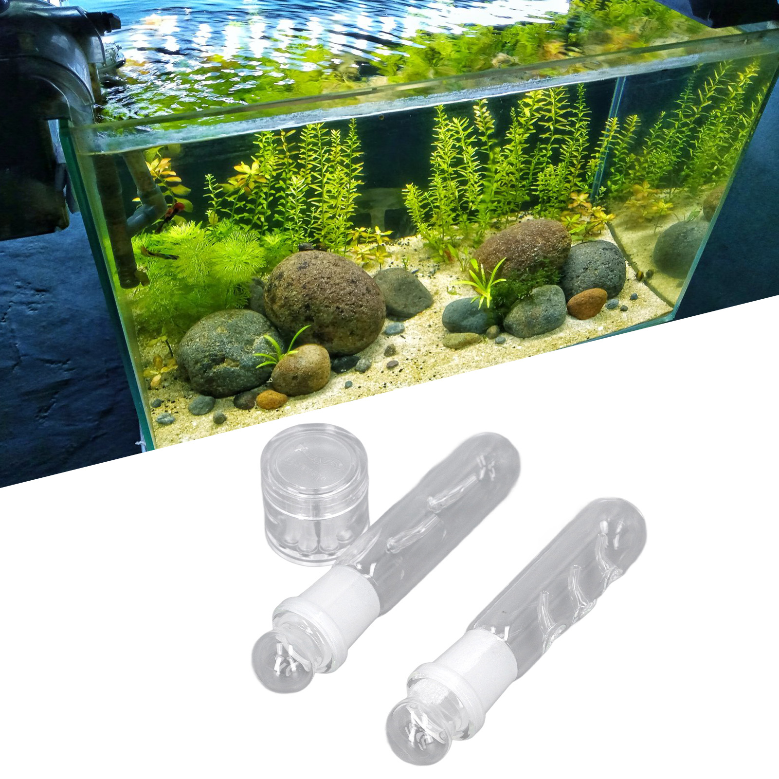 Planaria Trap Transparent Glass Easy To Use 2 Hole 3 Hole 8 Hole Planaria Catcher For Fish Tank Shrimp Tank