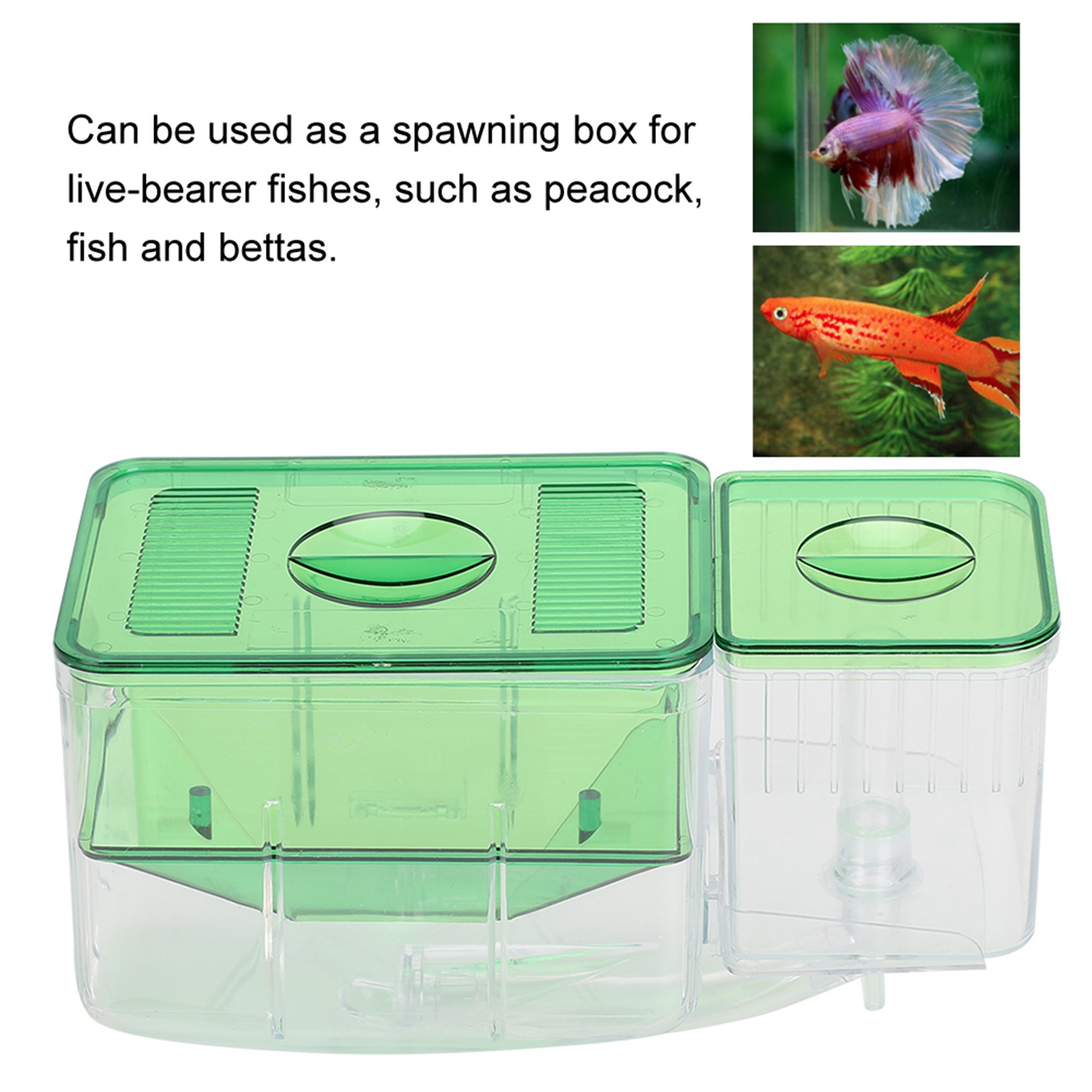 Aquarium Fish Tanks Breeding Box Little Fish Double‑Layer Isolation Incubator For Injured Small Fish Shrimp
