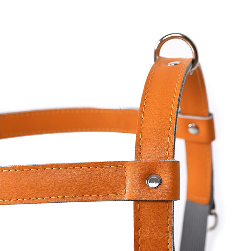 Pet Harness and Leash Nylon Leather Dog Harness Durable and Adjustable for Large,Medium Small Dogs Outdoor Training and Walking