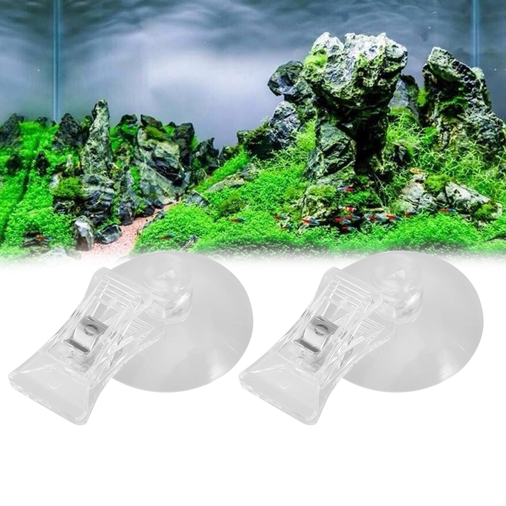 3 Pcs Feed Clip Fish Tank Accessories Feeder Aquarium Accessory Supplies for Suckers Holder Suction Cup Seaweed Tool Food