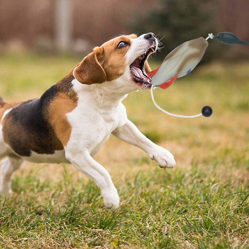 Realistic Design Fake Duck For Daily Training Interactive Toys Pet Products For Increasing Life Skills