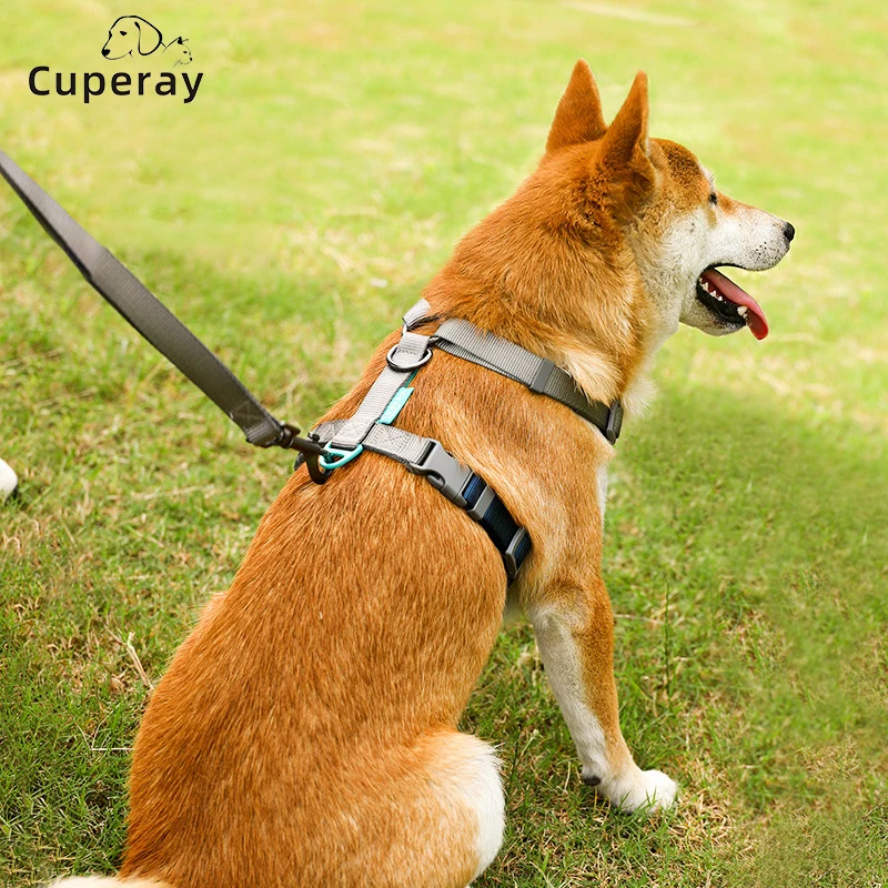 Pet Harness and Leashes Adjustable Dog Harness Medium & Large Dog Walking Leash Explosion-proof Punching Dog Chain Pet Supplies