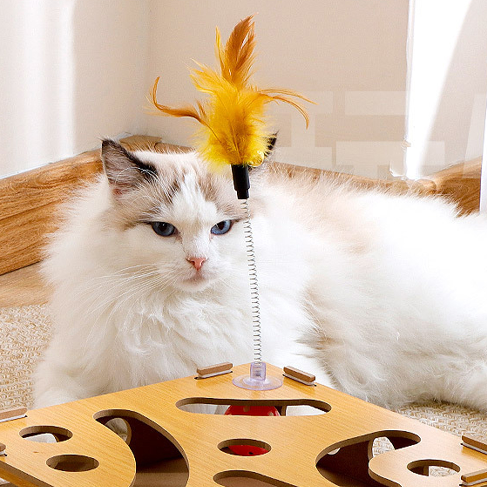 Cat Toy Puzzle Box, Claw Grinding, Interactive, Interesting Cat Game, Teasing Stick and Bell Ball