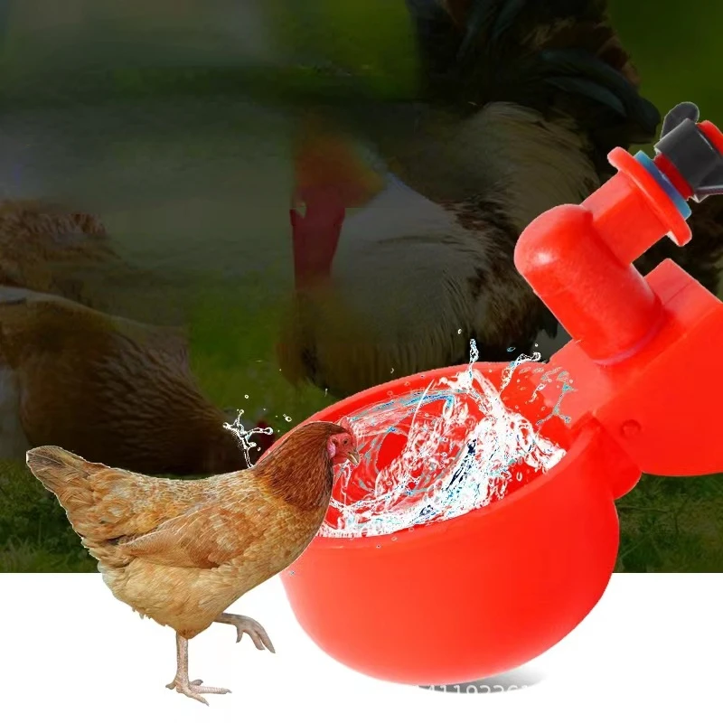 Chicken Drinking Cup Automatic Drinker Chicken Feeder Plastic Poultry Waterer Drinking Water Feeder for Chicks Duck Goose Quail