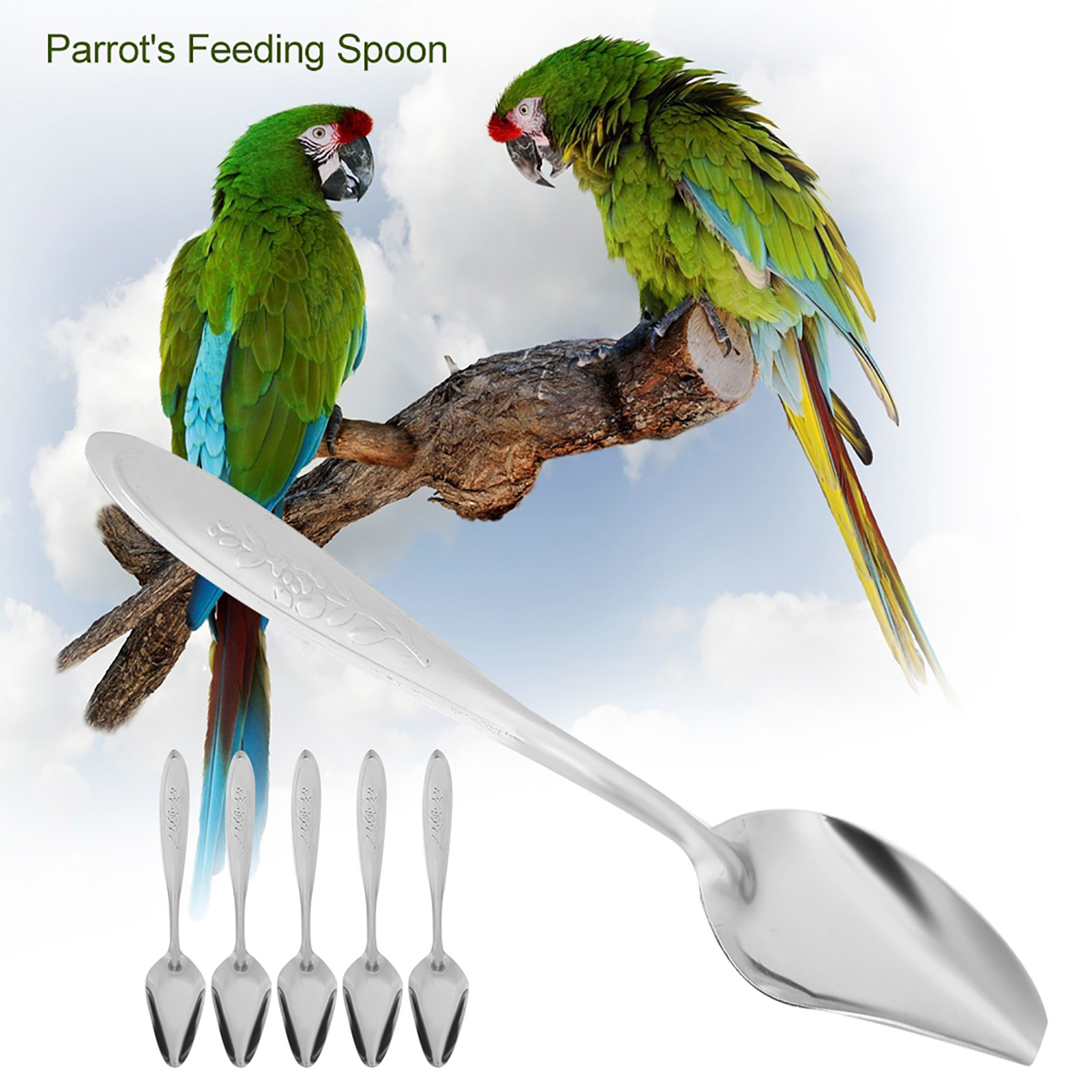 5Pcs Parrot's Milk Powder Stainless Steel Spoon For Pet Birds Feeding Spoons