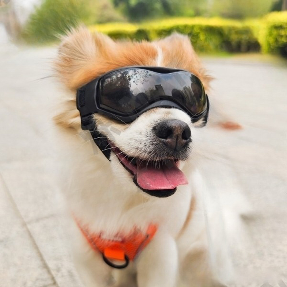 Small Dog Goggles UV Protection Doggy Sunglasses Windproof Antifog Pet Glasses for Small Dogs Cats Eye Wear