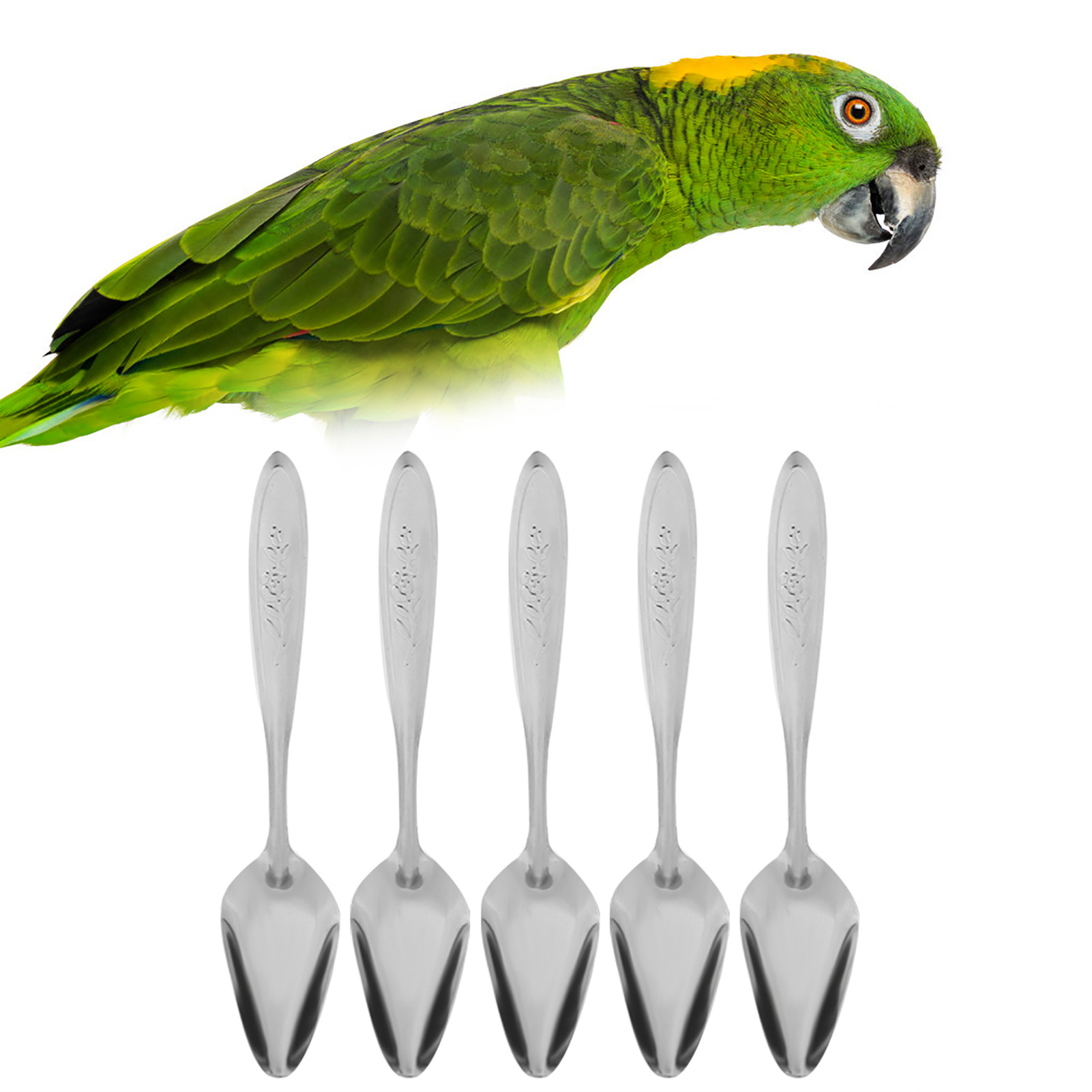 5Pcs Parrot's Milk Powder Stainless Steel Spoon For Pet Birds Feeding Spoons