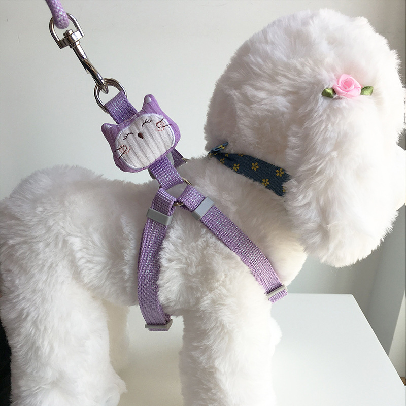 Cat Harness and Leash Set Pet Supplies Cartoon Round Rope Adjustable Harness with Alloy Metal Hook Buckle for Cats and Puppies