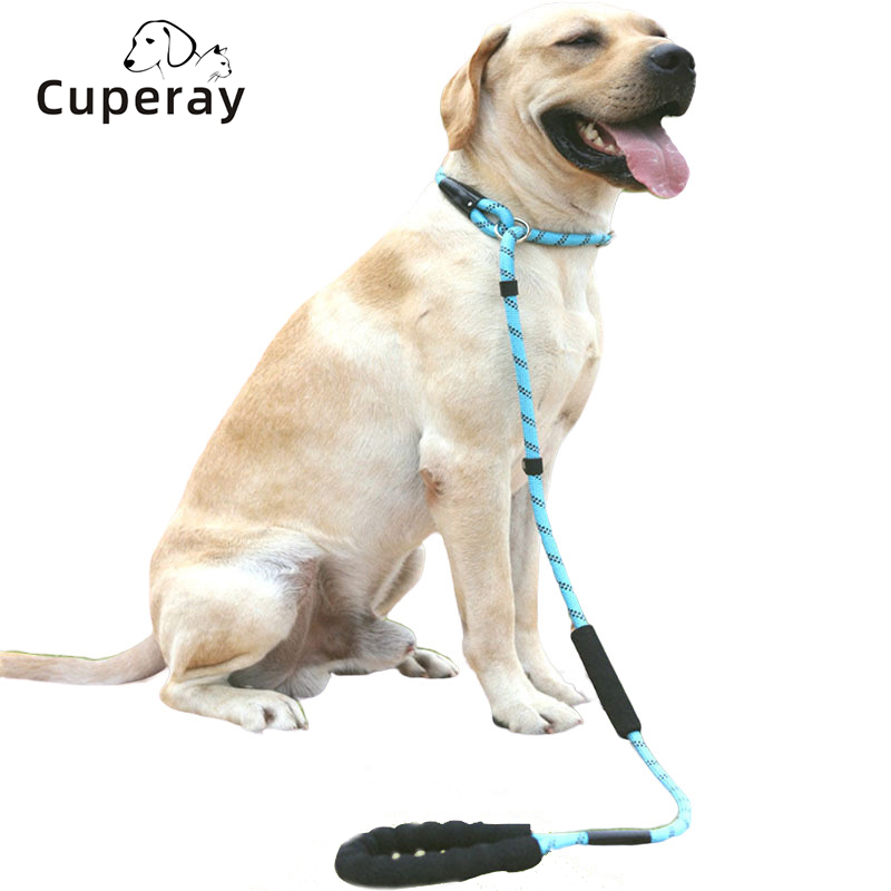 P Chain Integrated Dog Leash, Reflective Slip Training Lead for Medium &Large Dogs for Safe Night Walks Dog Leash Pet Slip Leash