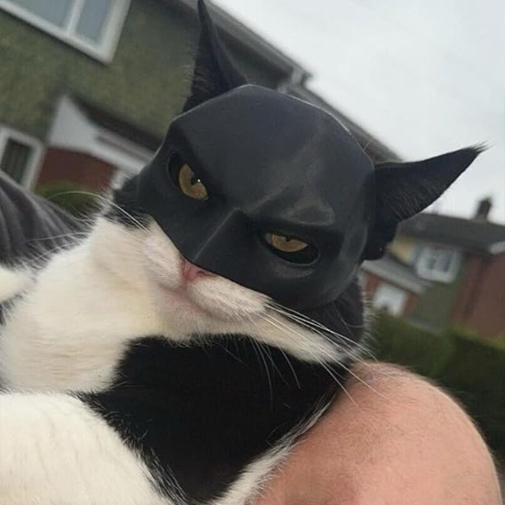 Gift Black Bat Cat Avenger Mask Matte Cool Bat Mask Cute Superhero Pet Toys For Cats And Dogs