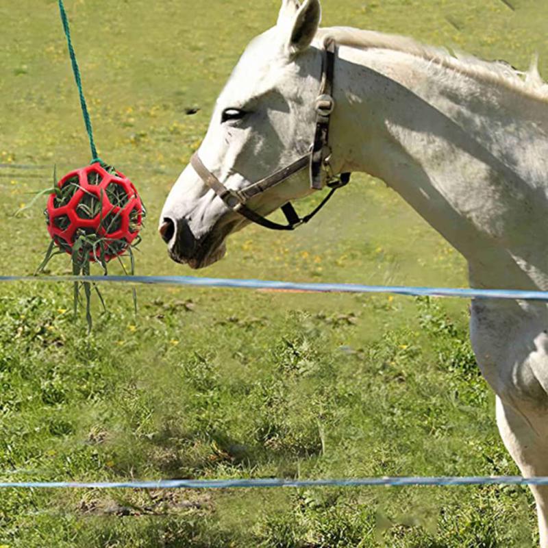 Hay Innovative Design Durable Material Feeding High Demand Horse's Favorite Popular Choice Horse Stable Accessories
