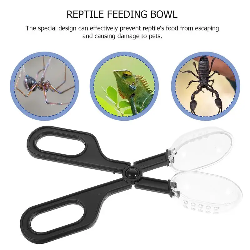 Reptile Terrarium Lizards Plastic Tongs Tweezers Pet Raising Feeding Tool Clip School Insect Biology Study Tool Pet Tools