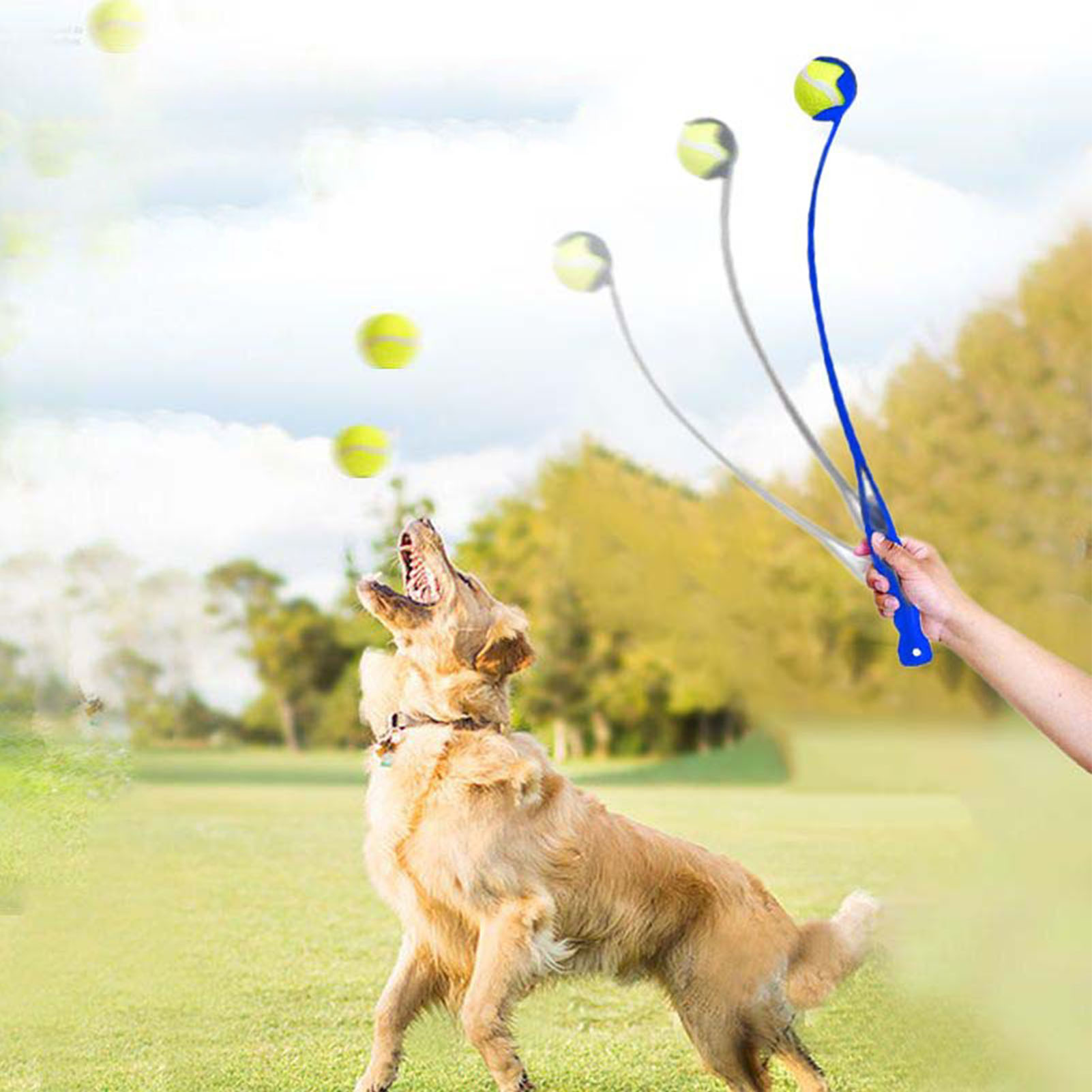 Hand Dog Ball Launcher With Ball Ergonomic Handle Interactive Dog Tennis Ball Thrower For Outdoor Playing Training