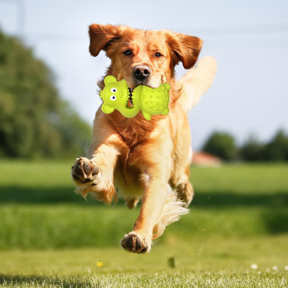 Eco-friendly Rubber Dog Toy Rubber Dog Toy for Teeth Grinding Durable Rubber Dog Chew Toy for Chewers Squeaky Puppy for Tooth