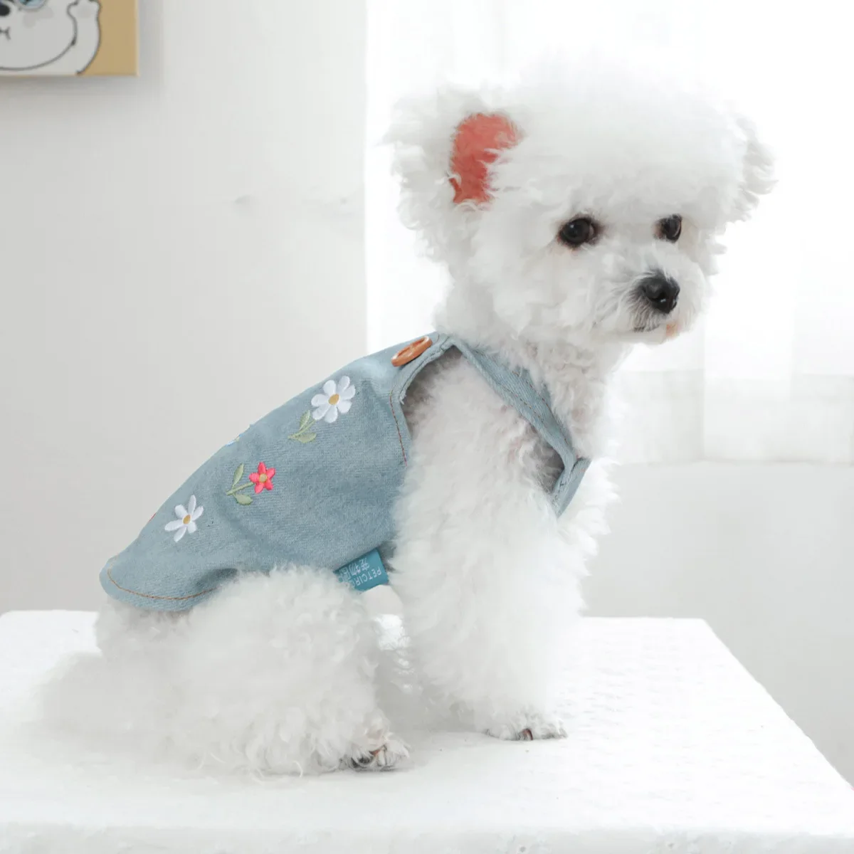 Pet Cowboy Embroidery Small Flower Strap Skirt Dog Cat Clothes Autumn/Winter New Flower Sweetheart Cowboy Skirt