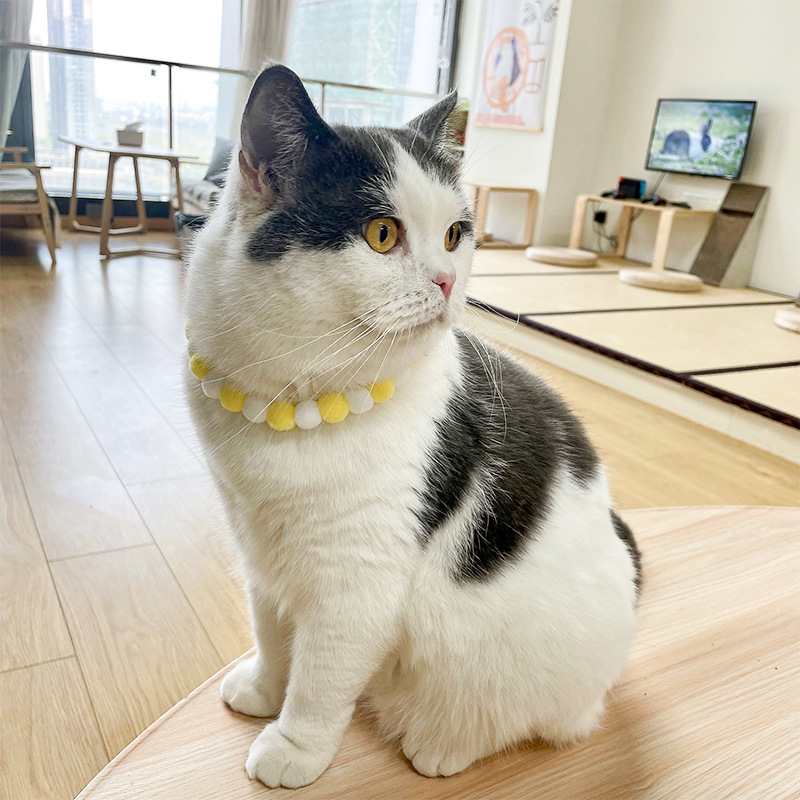 Macaron Colorful Pet Collar, Self Adhesive Cute Cat Collar with 5cm Extension Chain for Birthday Party and Christmas Accessories