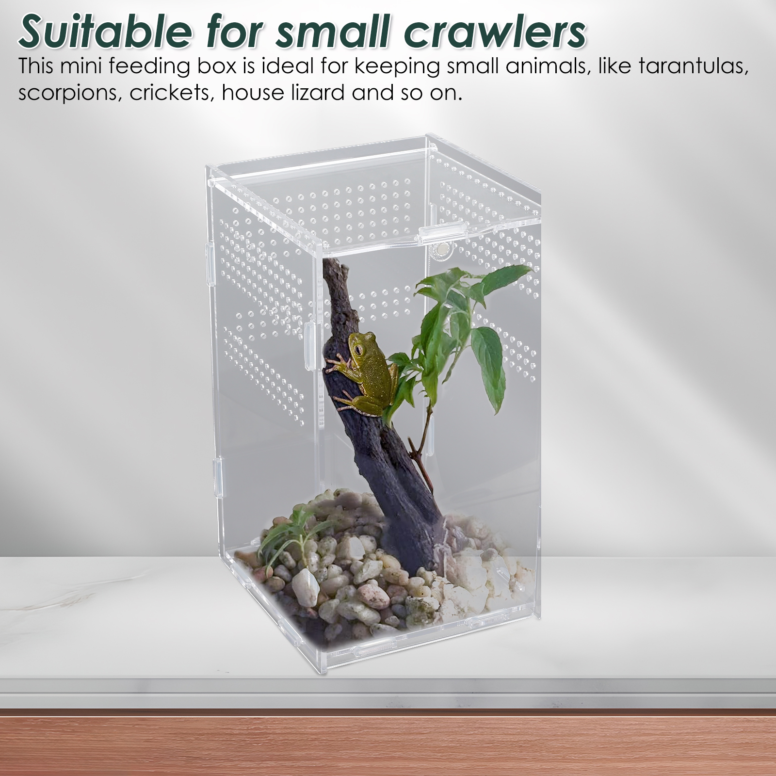 Terrarium Enclosure Transparent Acranged Climbing Pet Feeding Boxes Arboreal Boxes for Reptiles Breeding Invertebrates Habitat