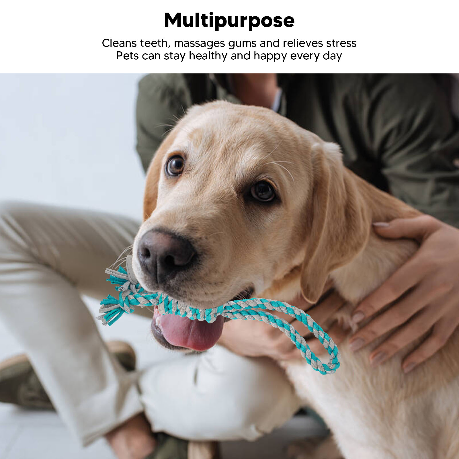 Dog Rope Chew Toys Interactive Fun Cotton Teeth Cleaning Bite Resistant Dog Teething Chew Toy For Indoor Outdoor