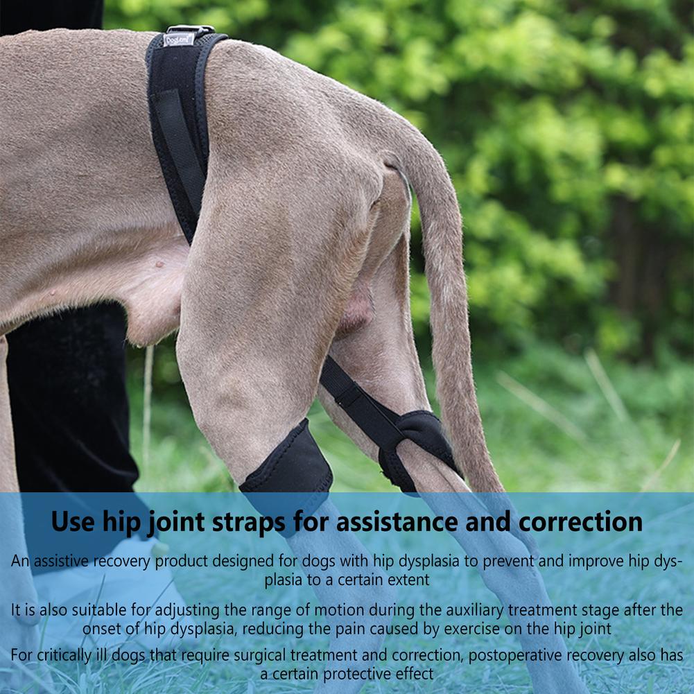 Pet Dog Leg Brace Comfortable Breathable Leg Joint Compression Wrap Adjustable Rear Leg Braces For Dogs, Pet Knee Brace