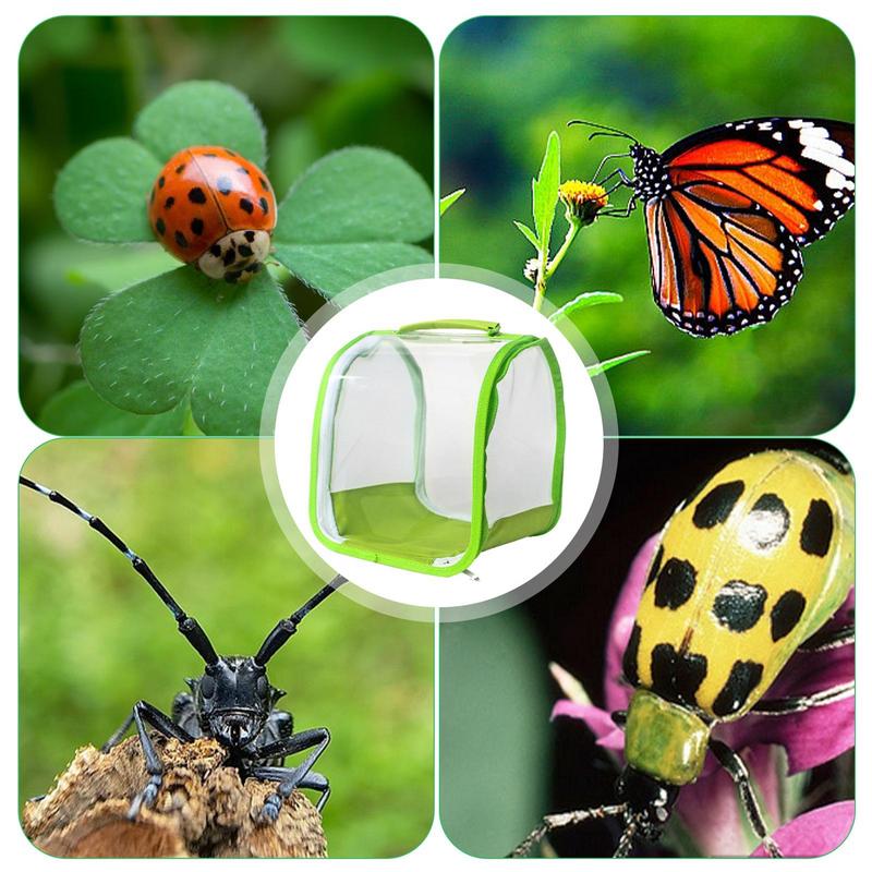 Green Collapsible Insect Cage Foldable Insect Cage Habitat Cage Mesh Butterfly Mantis Stick Breeding Zipper Cages Net Cloth