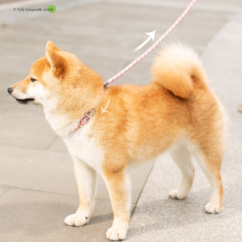 Heavy Duty Slip Lead Dog Leash,Dog Training Leash with Metal Stopper,Durable No Pulling Dog Lead Leashes with Comfortable Handle