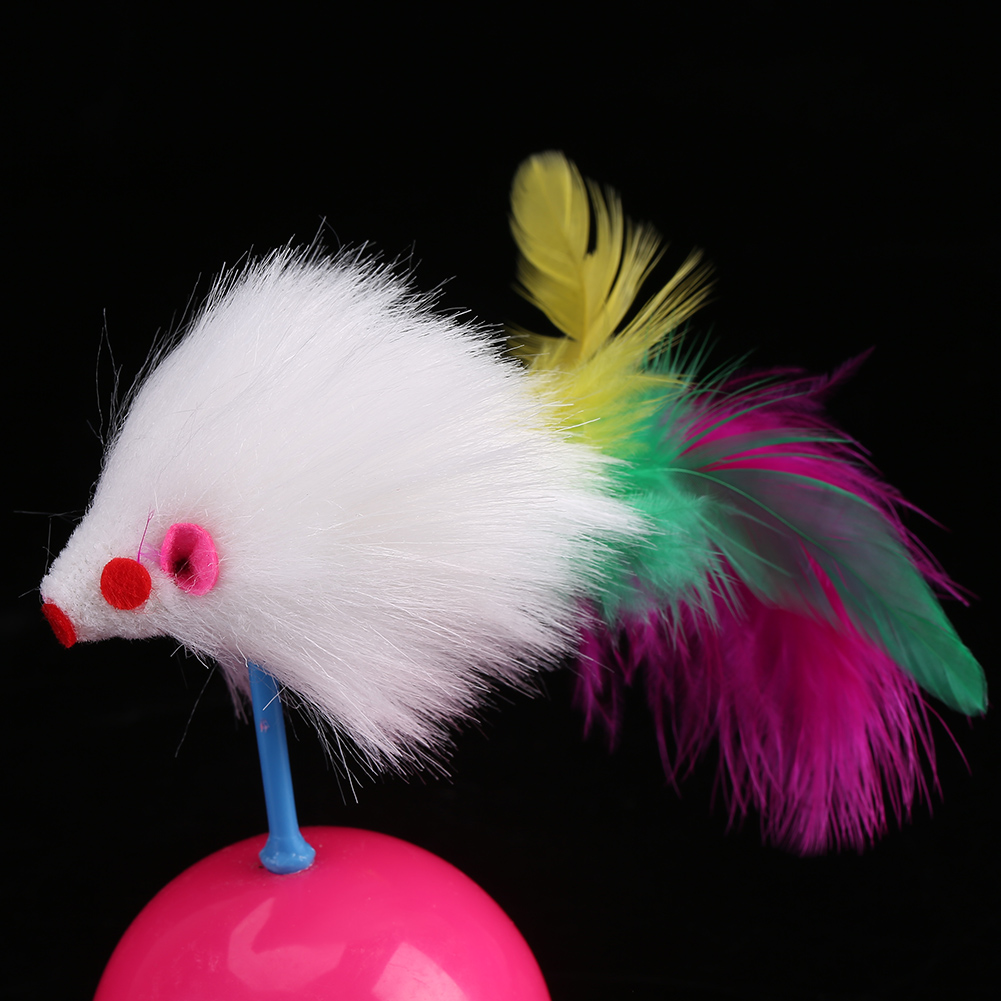 Pet Cat Scratching Ball Training Interactive Toy For Kitten Pet Cat Supplies Funny Play Feather Toy For Cats