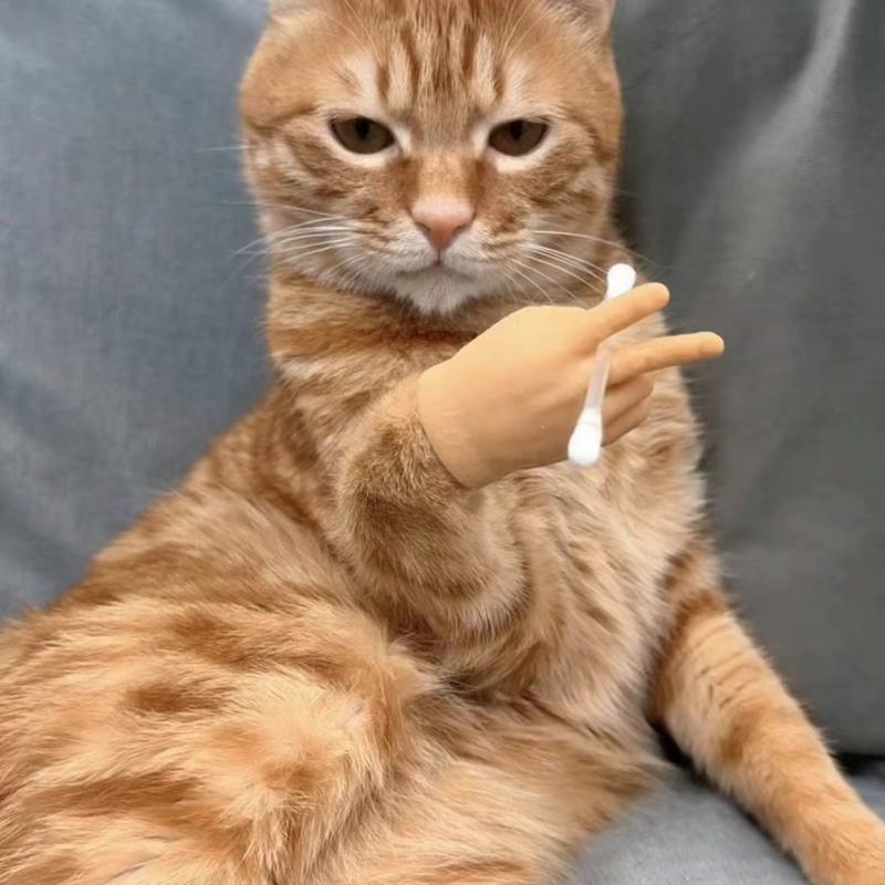 Small Finger Hands Fake Hand Toy For Cats And Dog Toy Fake Small Finger Hand Fake Hand Toy Silicone Funny Cat Petting Tool