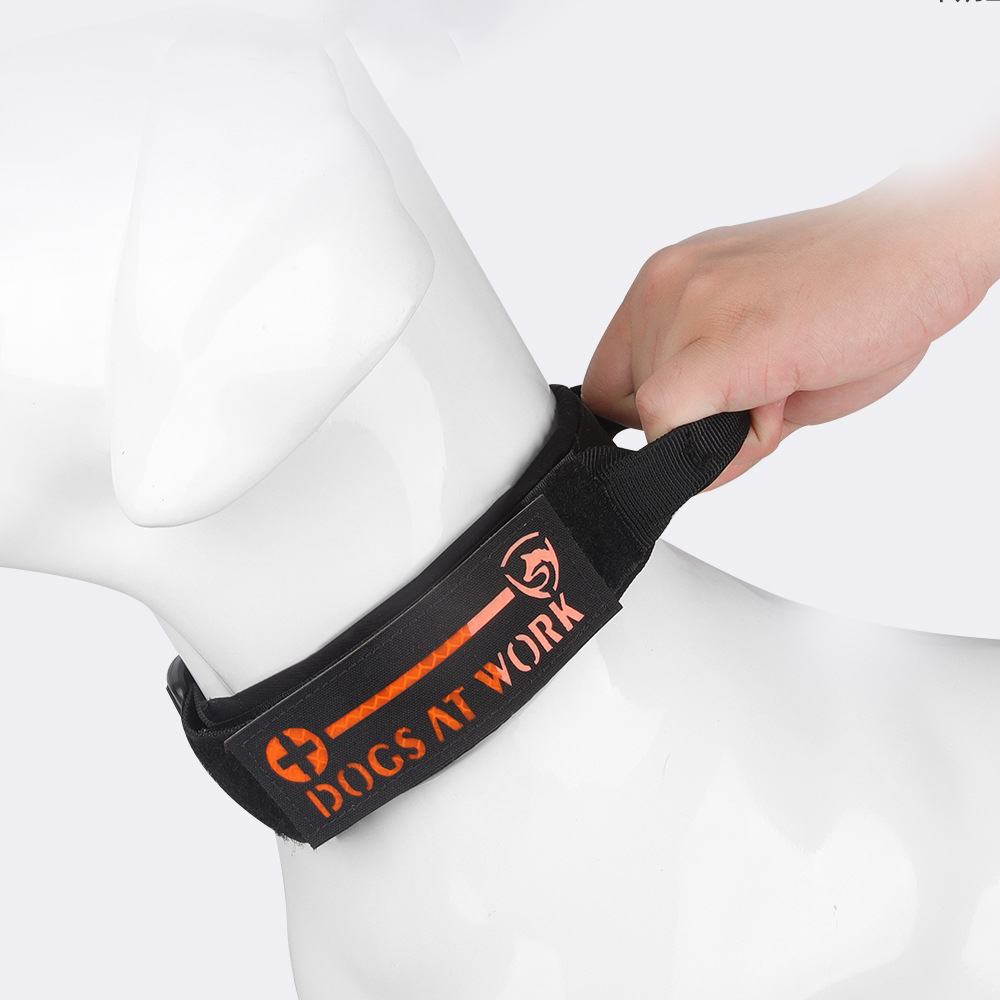 Tactical Pet Collar Pull-on Buckle Ribbon Dog Collar Can Be Handled Adjustable Dog Collar Pet Supplies for Medium and Large Dogs