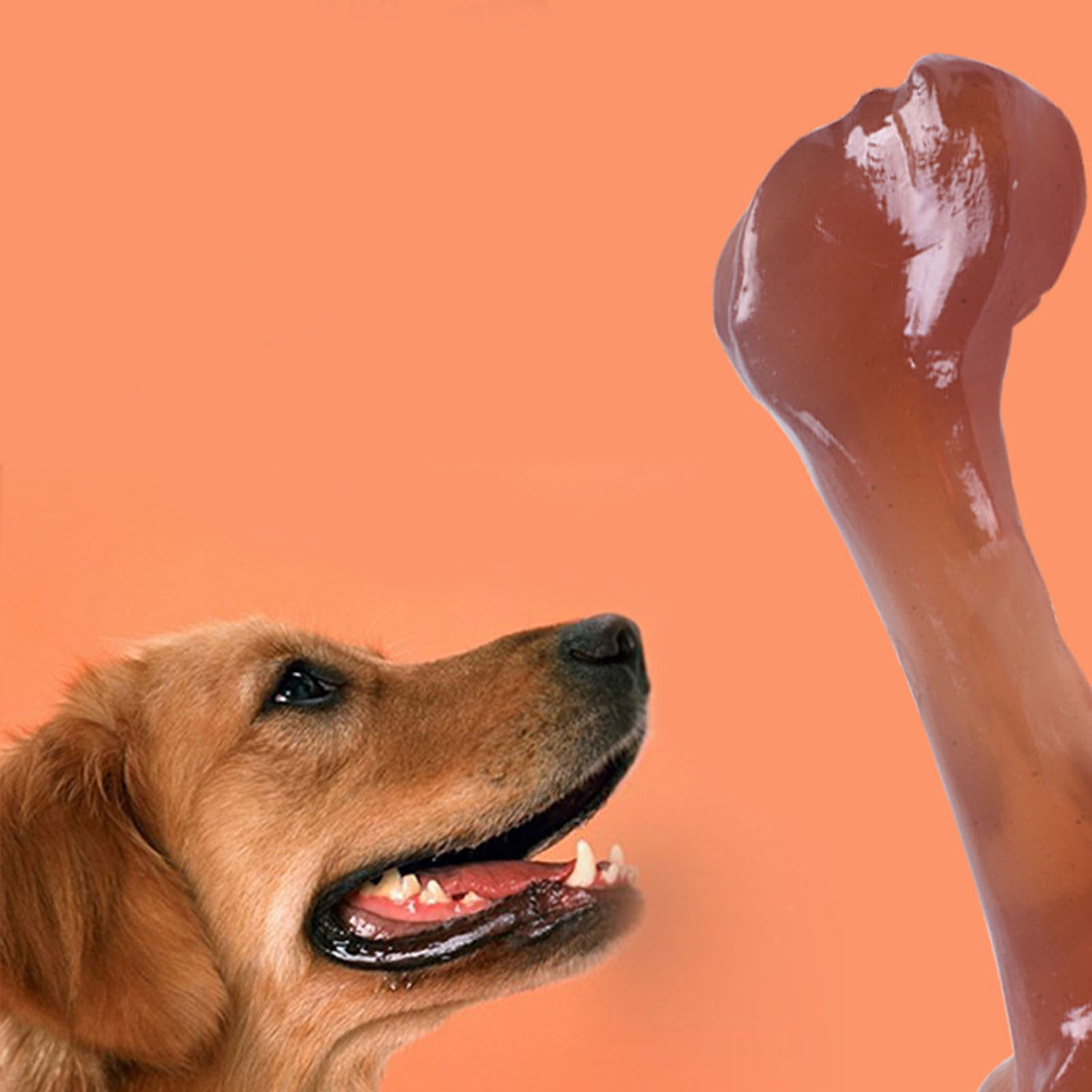 Bone Toy Simulation for Dogs, Bite Resistant, Teeth Grinding, Bacon Flavor Food, Chewing Toy for Small, Medium, Large Dogs