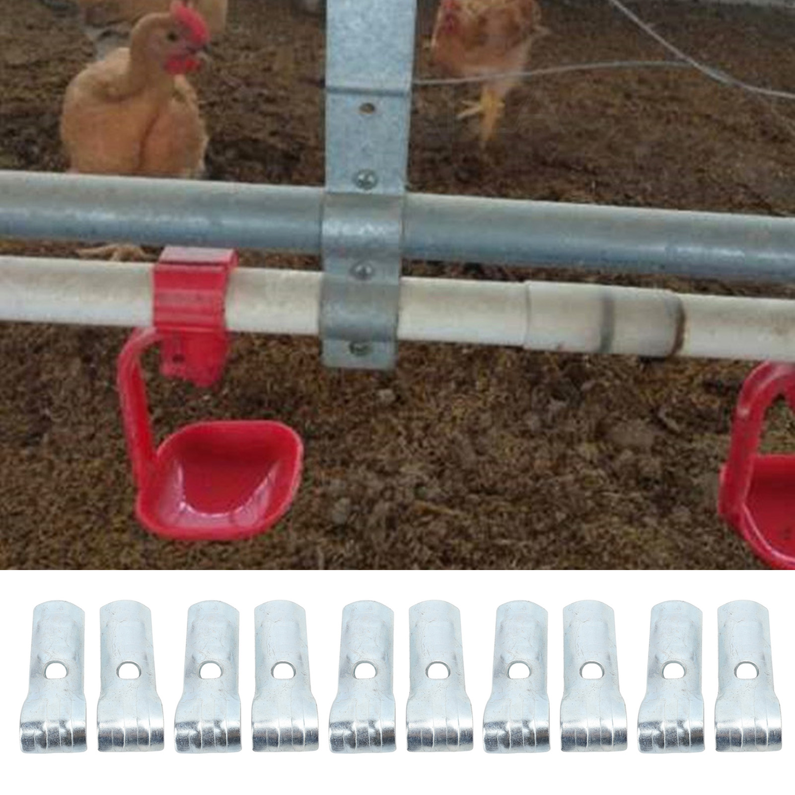 Water Pipe Fixing Clamp, Poultry Chicken, Water Supply Pipes Clips, Line Hanger Hooks for Farm Breeding, 5 Sets