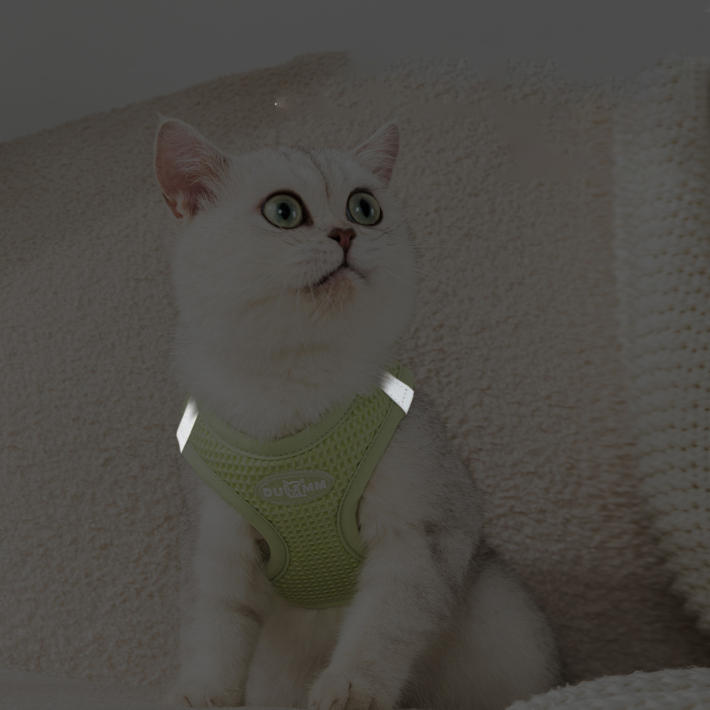 Cat Harness and Leash Set Vest Style Dog Harness Going Out Anti-breakaway Walking Cat Leash Pet Harness Leash for Cats & Puppies