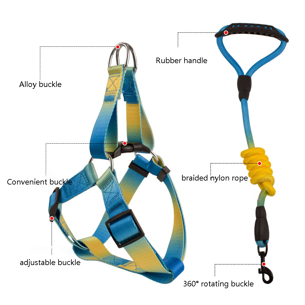 Ombre Colorblock Adjustable Dog Harness and Leashes Set-Double D Ring for Puppy Cats Small Medium Dogs Outdoor Training Running