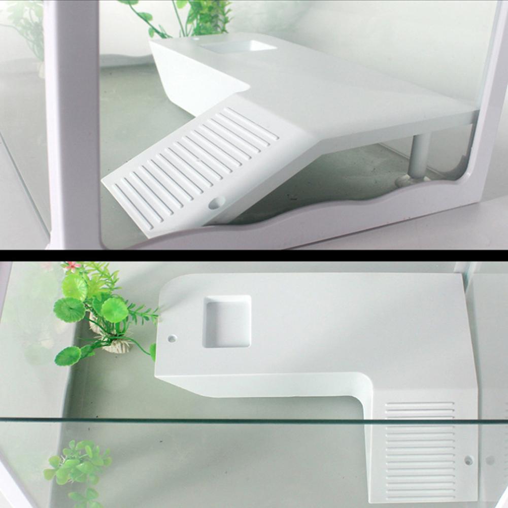 Turtle Basking Platform,Reptiles Tortoise Climbing Ramp Reptiles Dock Resting Terrace for Small Reptile Frog Terrapin