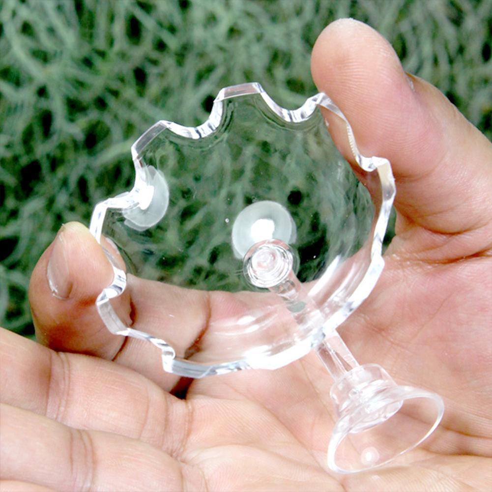 Shrimp Feeding Dish Shrimp Feed Dish Aquarium Fish Tank Shrimp Food Feeder Clear Glass Feeding Tube Dish Suction