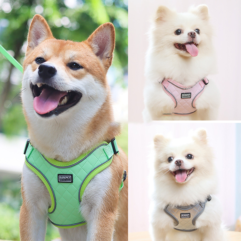 Leather Dog Harness and Leash Set Adjustable Vest Style Anti-Escape Pet Harnesses Dog Leashes for Small To Medium Dogs and Cats