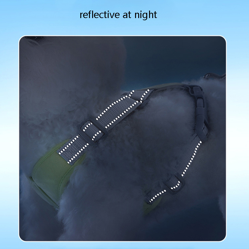 Dog Harness & Leash Set Reflective Adjustable Vest Harness Medium Small Dog Teddy Corgi Bichon Walking Leash for Outdoor Travel