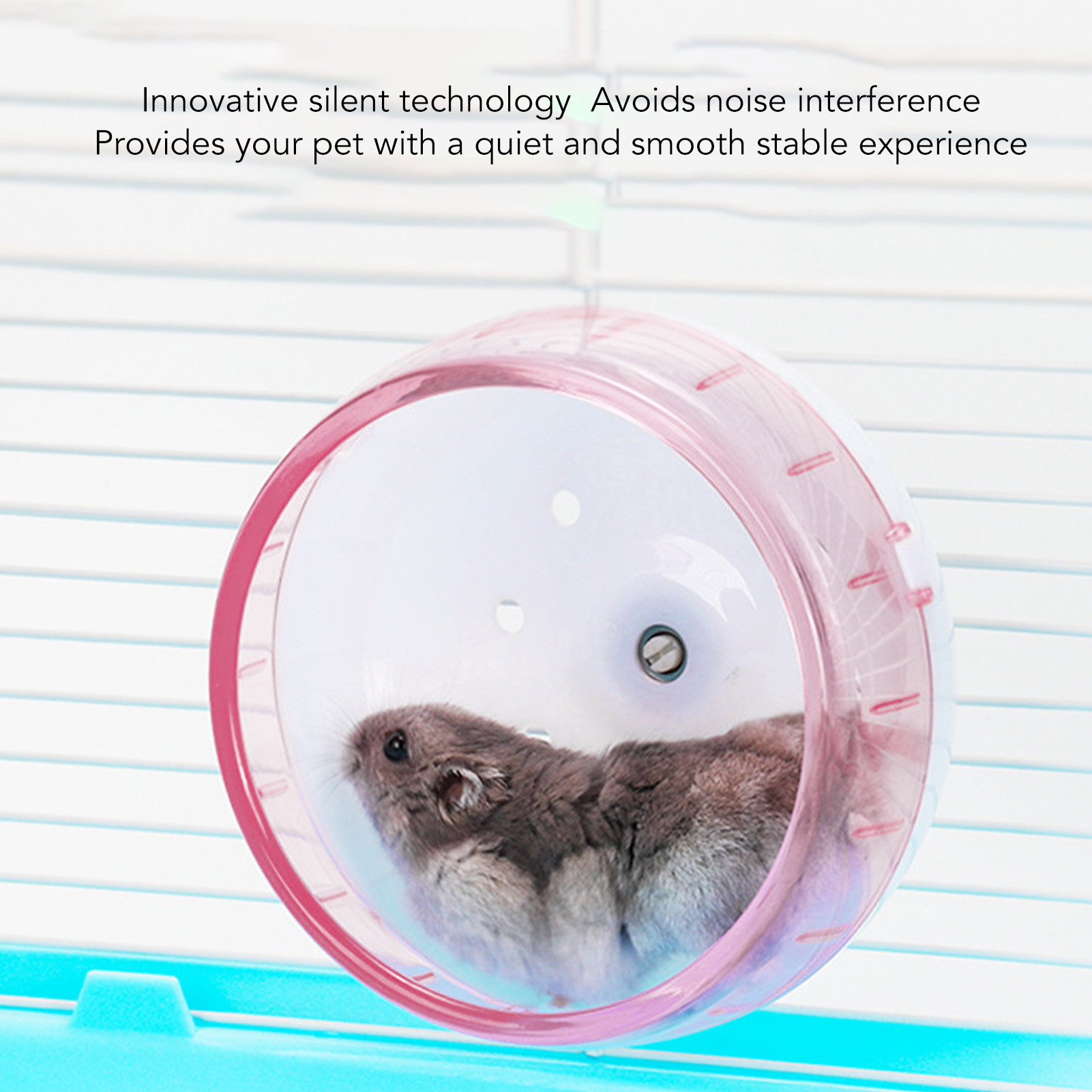 Running Wheel for Golden Bear Sugar Glider, Hamster Exercise Wheel, Interesting Small Pet