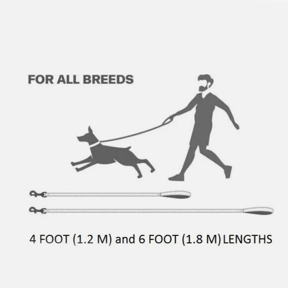 Hot Nylon Dog Lead Reflective Handle Dog Training Lead Comfort Strong Padded Tracking Leash for Dog