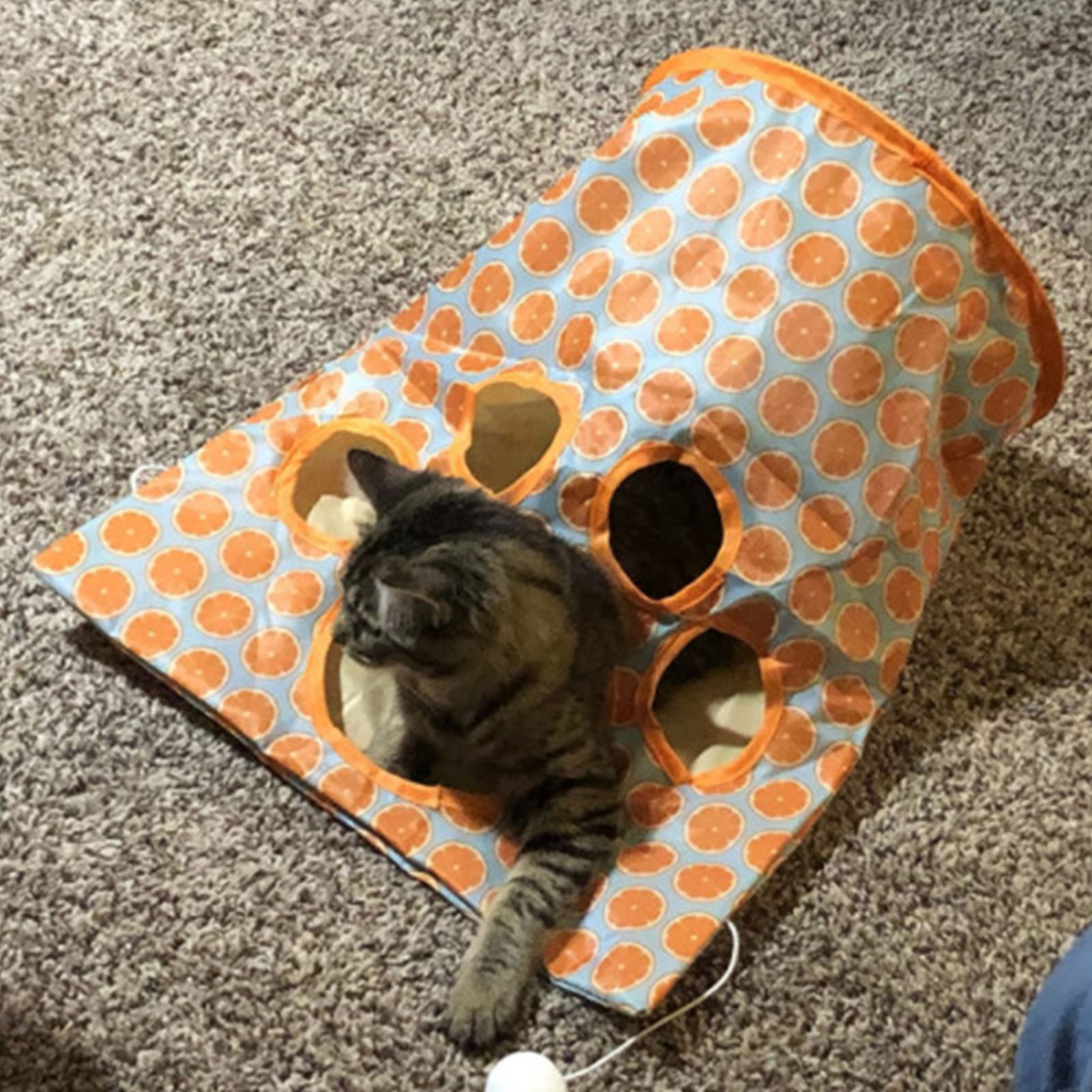 Cat Tunnel Bag Foldable Interactive 5 Holes Crinkle Sounds Tunnel Pet Drill Bucket With Plush Balls For Cats Kittens