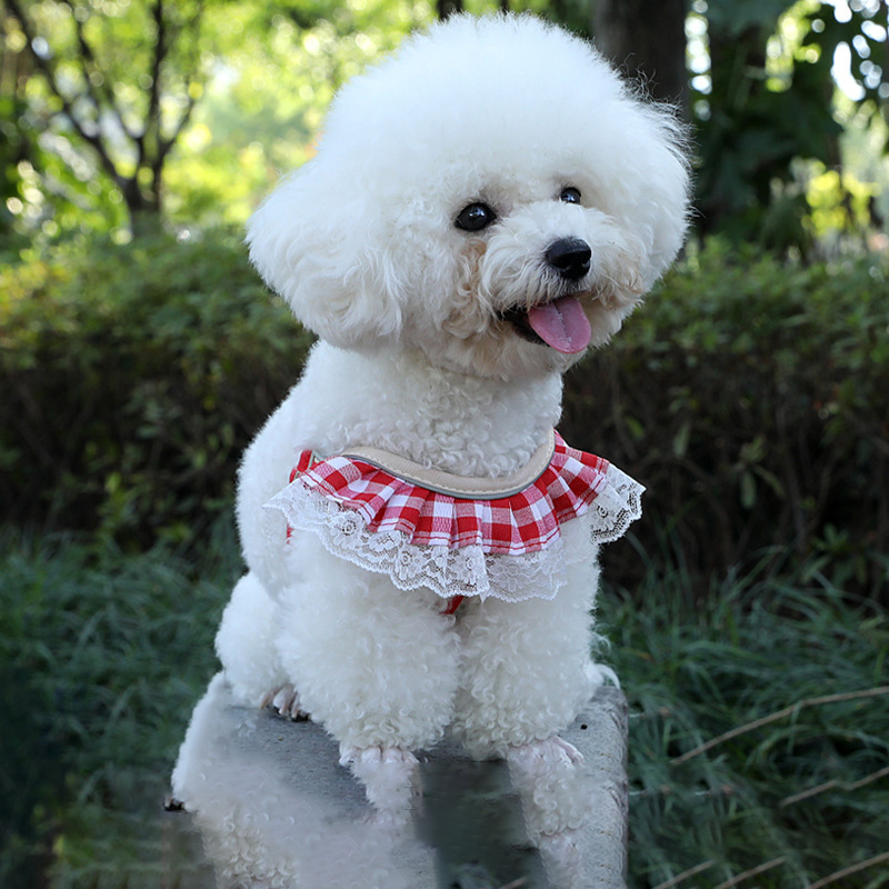 Cat Leash and Harness Set Adjustable Dog Harness 150cm Dog Leash with Lace Trim Comfortable Breathable Mesh for Cats and Puppies