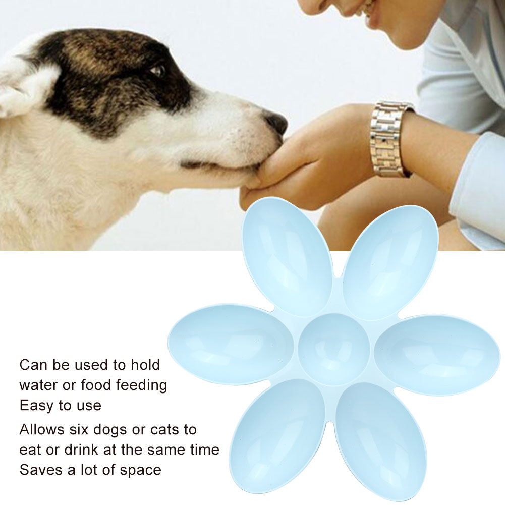 Six Cat Bowl Pet Water Food Feed Dog Bowls Pet Bowl With Inclination Stand Cats Feeder Feeding Bowl Kitten Supplies