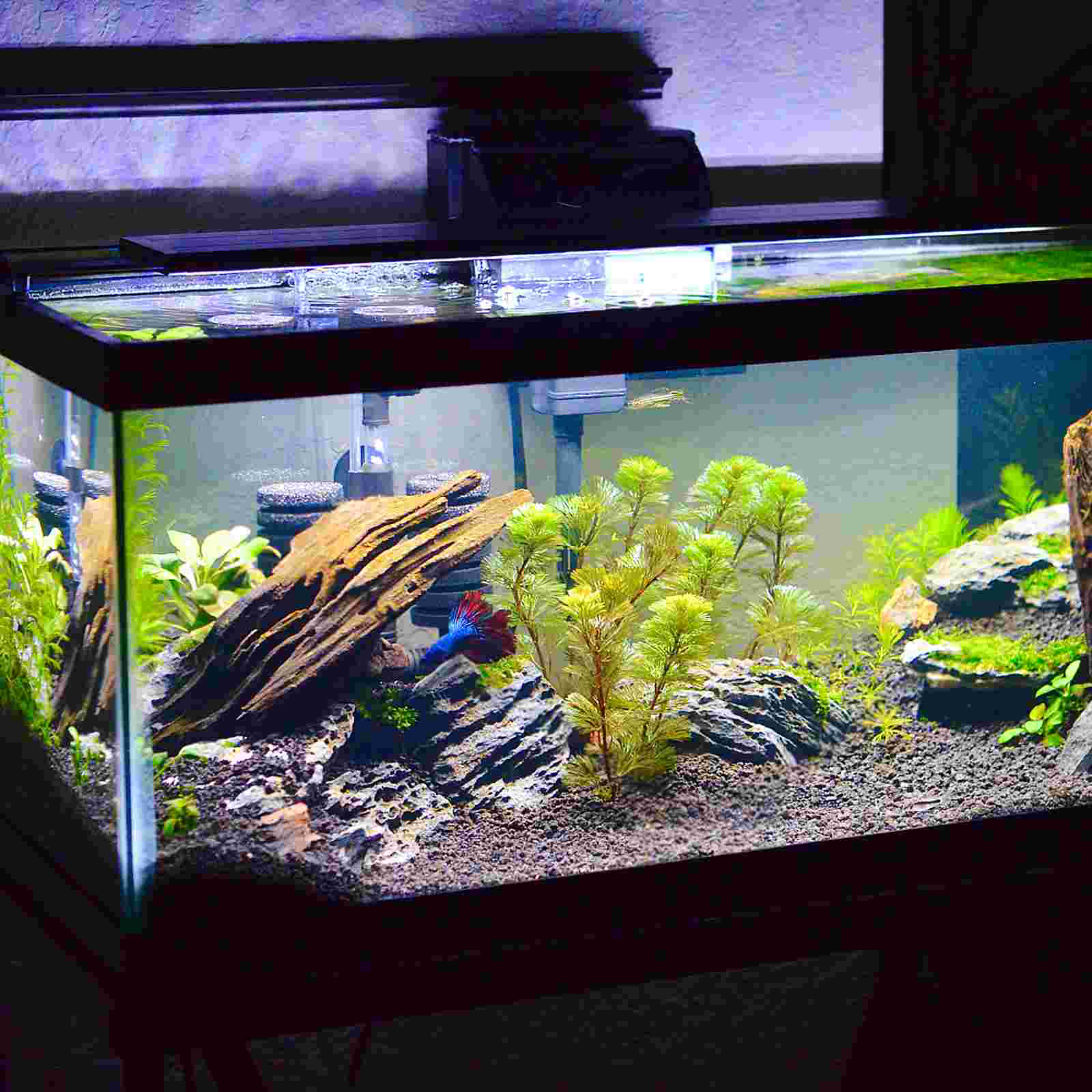 Fish Tank Pad Reptile Terrarium Mat Aquarium Sponge Floor Shockproof Pads Thicken Foam Mats Nonslip Pink Heart Basket