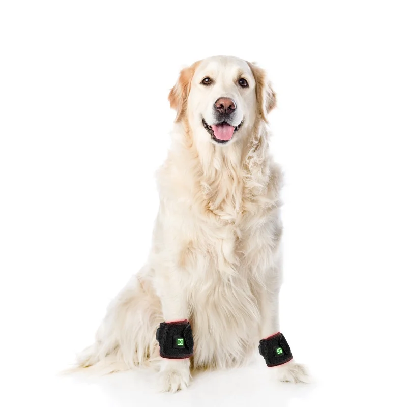 1pc 660nm 850nm therapeutic horse blanket infrared light therapy Horse Dog Bell Boots Tendon Riding Horse hoof Boots
