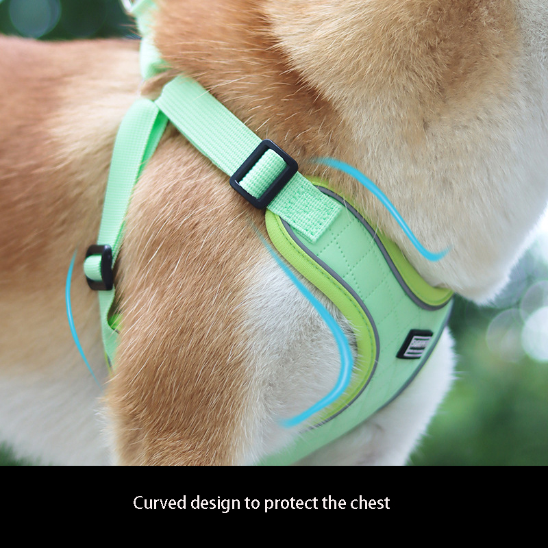 Leather Dog Harness and Leash Set Adjustable Vest Style Anti-Escape Pet Harnesses Dog Leashes for Small To Medium Dogs and Cats