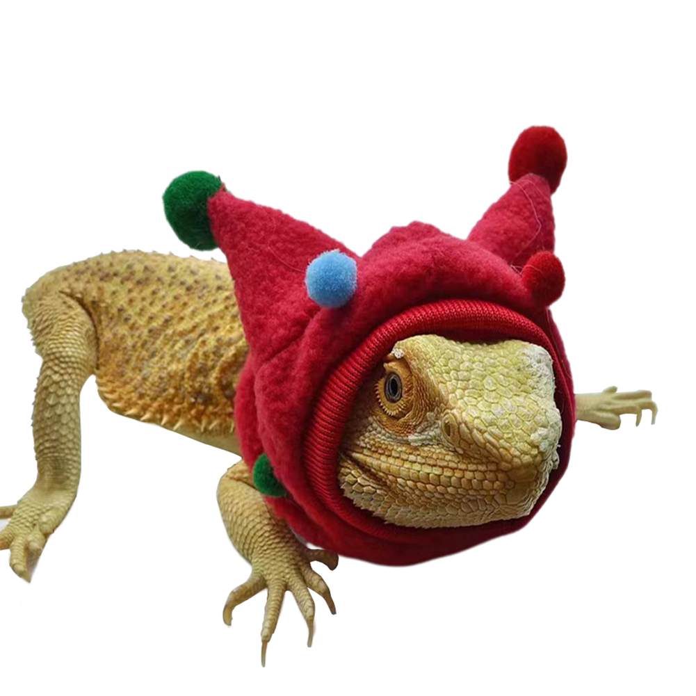 Lizards Halloween Hat, Bearded Dragon Fleece Horned Hat Lizard Hat Scarf Costume, Reptiles Hoodies Clothes For Geckos