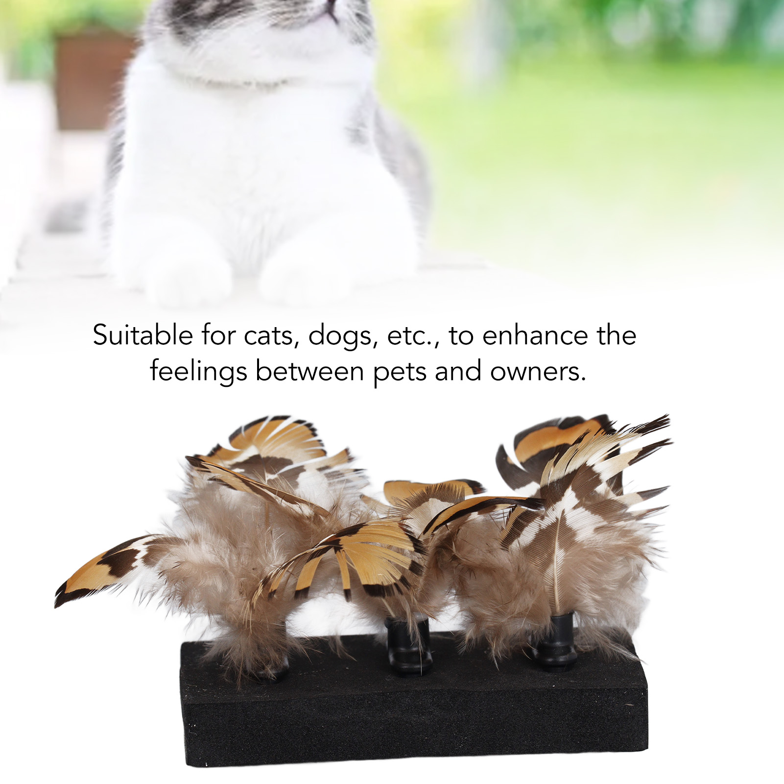 Interactive Feather Toy for Pet, Plastic Kitten Toy, Promote Circulation, Anxiety Reduction, Indoor and Outdoor, Roseate, 3PCs