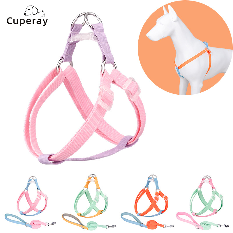 Dog Harness and Leash Set, Vest Style Dog Harness with Contrasting Color for Outdoor Travel & Training Medium & Small Dogs Cats
