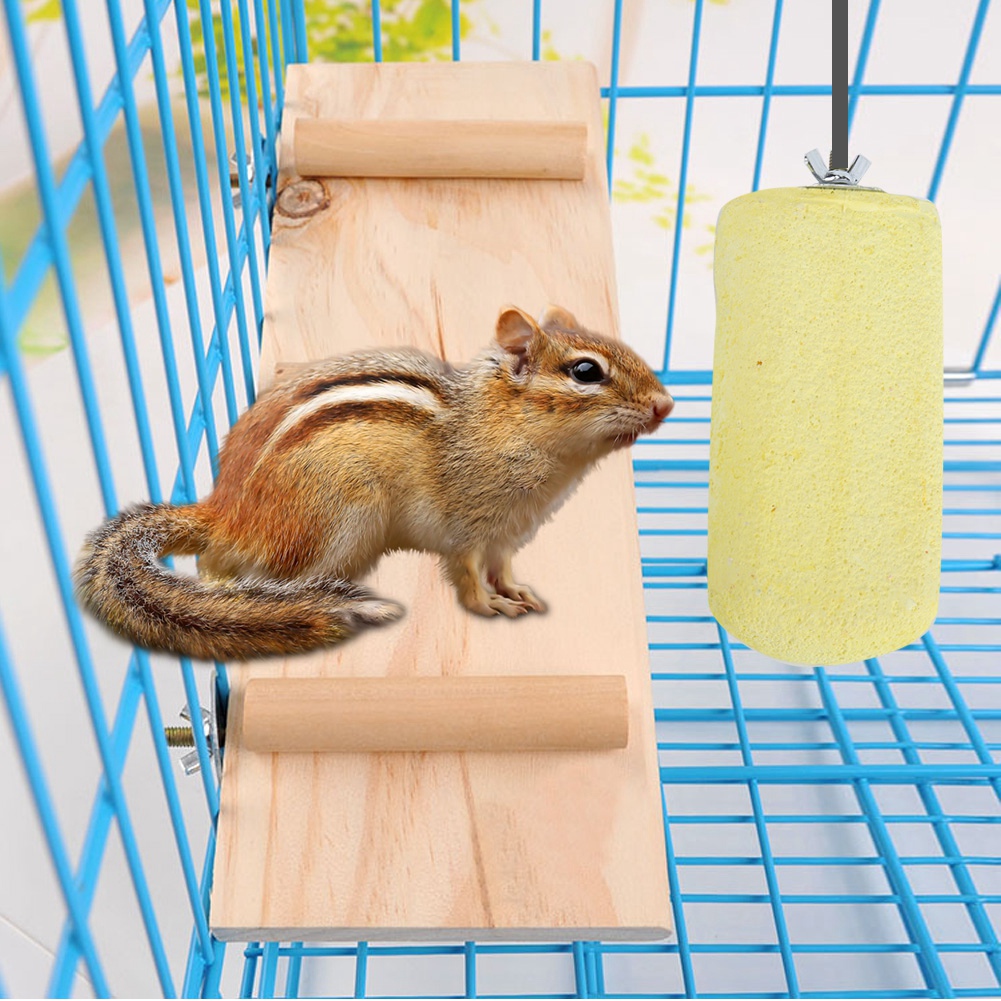 Totoro Squirrel Hamster Standing Platform Parrot Grinding Stone For Bird Accessories